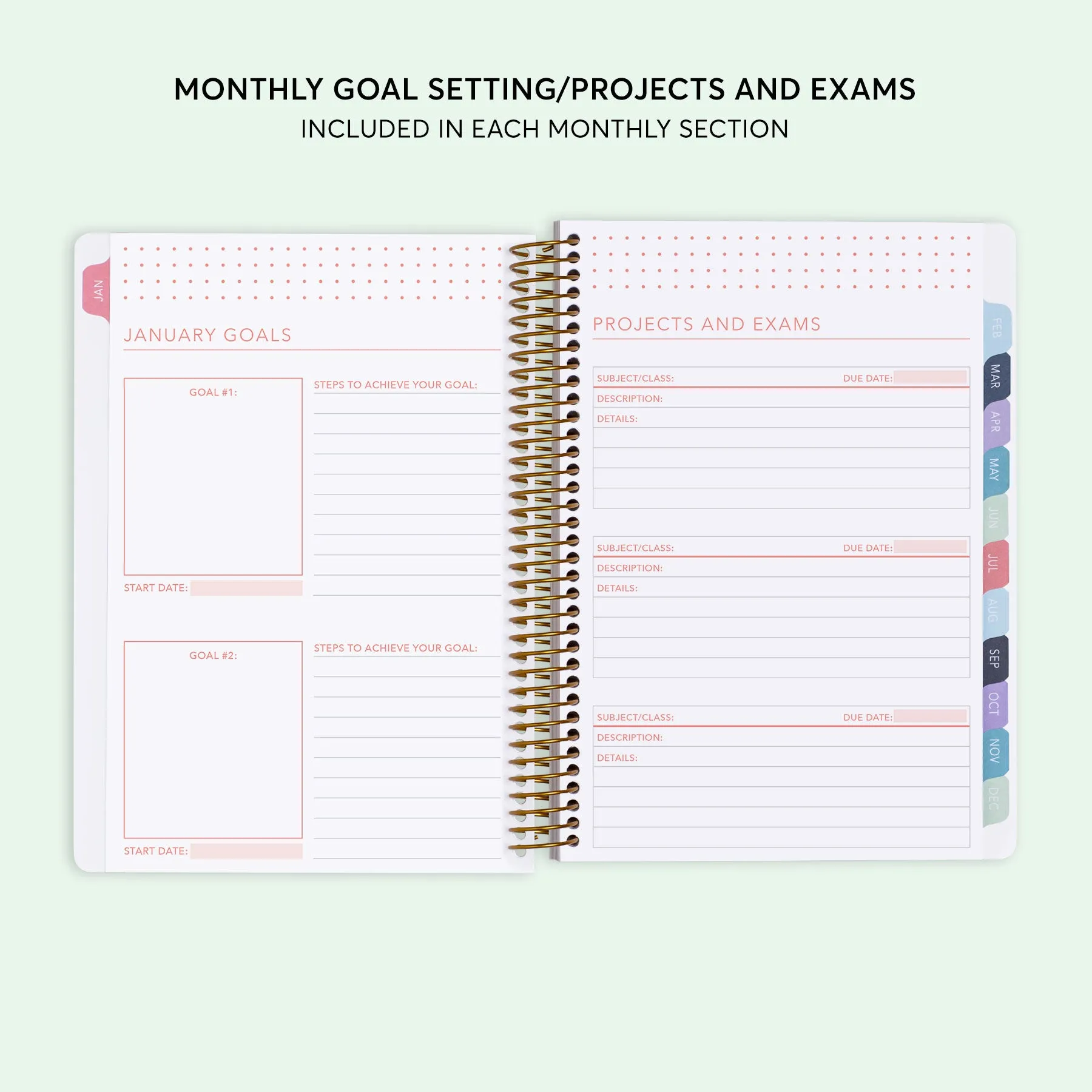 6x9 Student Planner - Flirty Florals Colorful