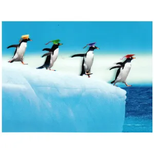 Penguins Graduation Card